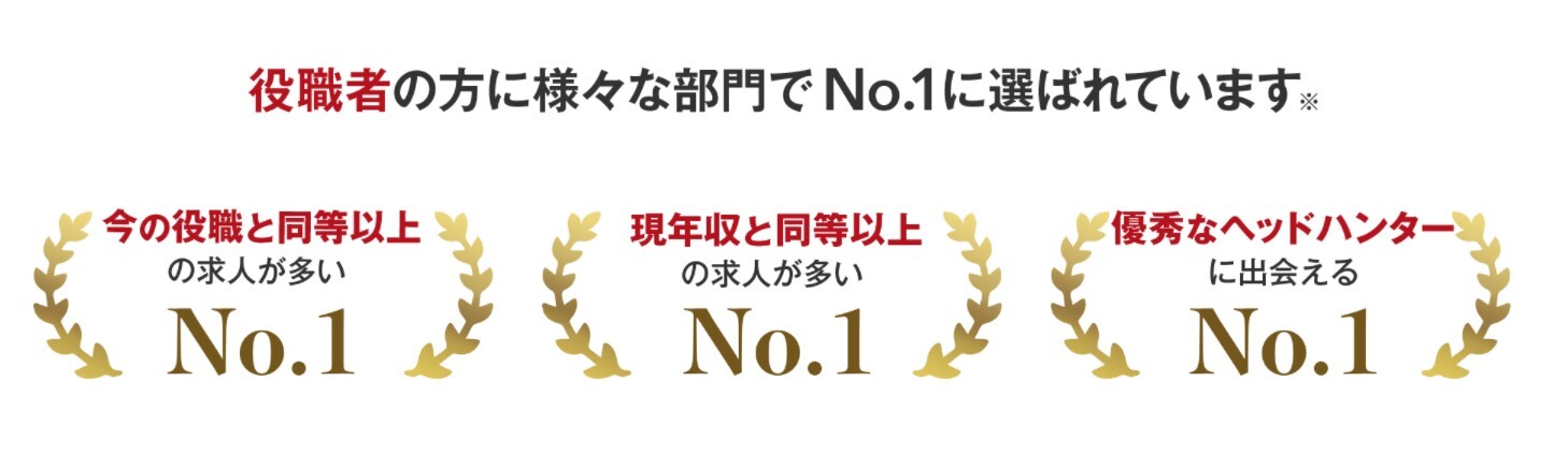 ビズリーチの実績