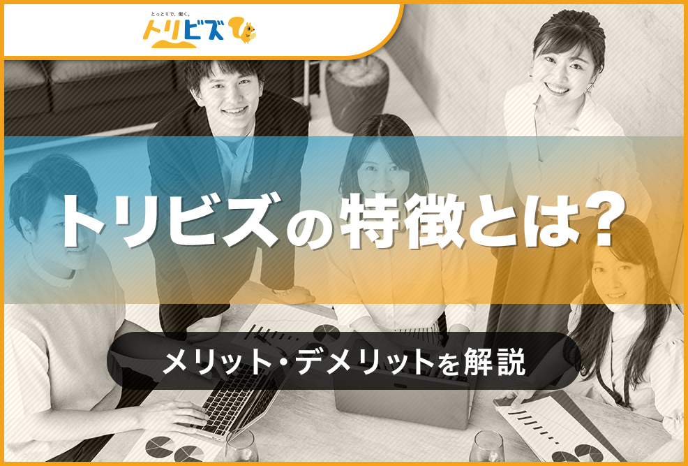 トリビズの特徴とは？