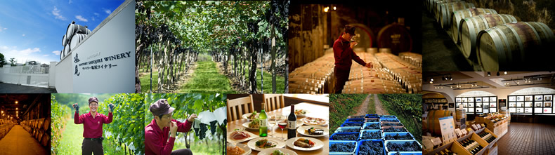 サントリー　ワイン事業