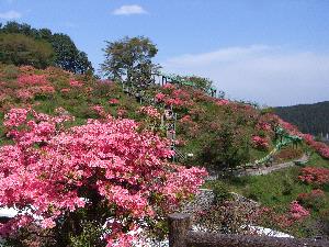 鹿沼市の公園