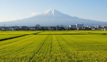 田園から見た山