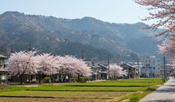 桜のある町