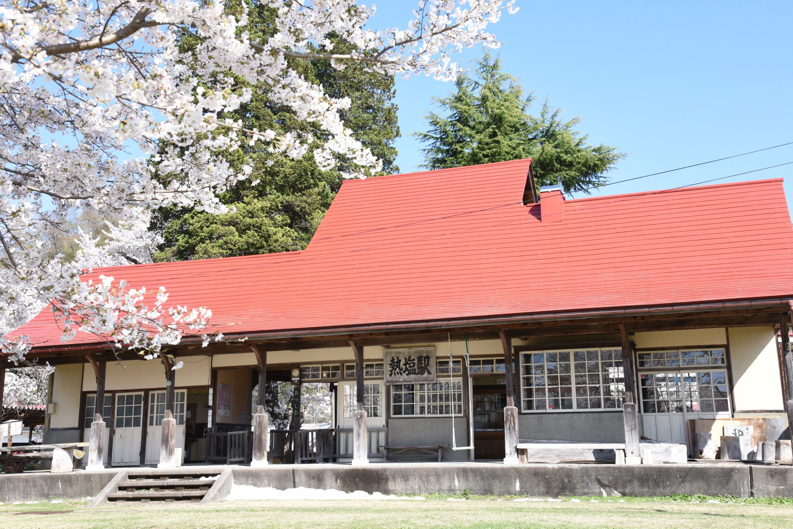 日中線記念館の桜