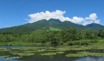 池の平自然園「いもり池」