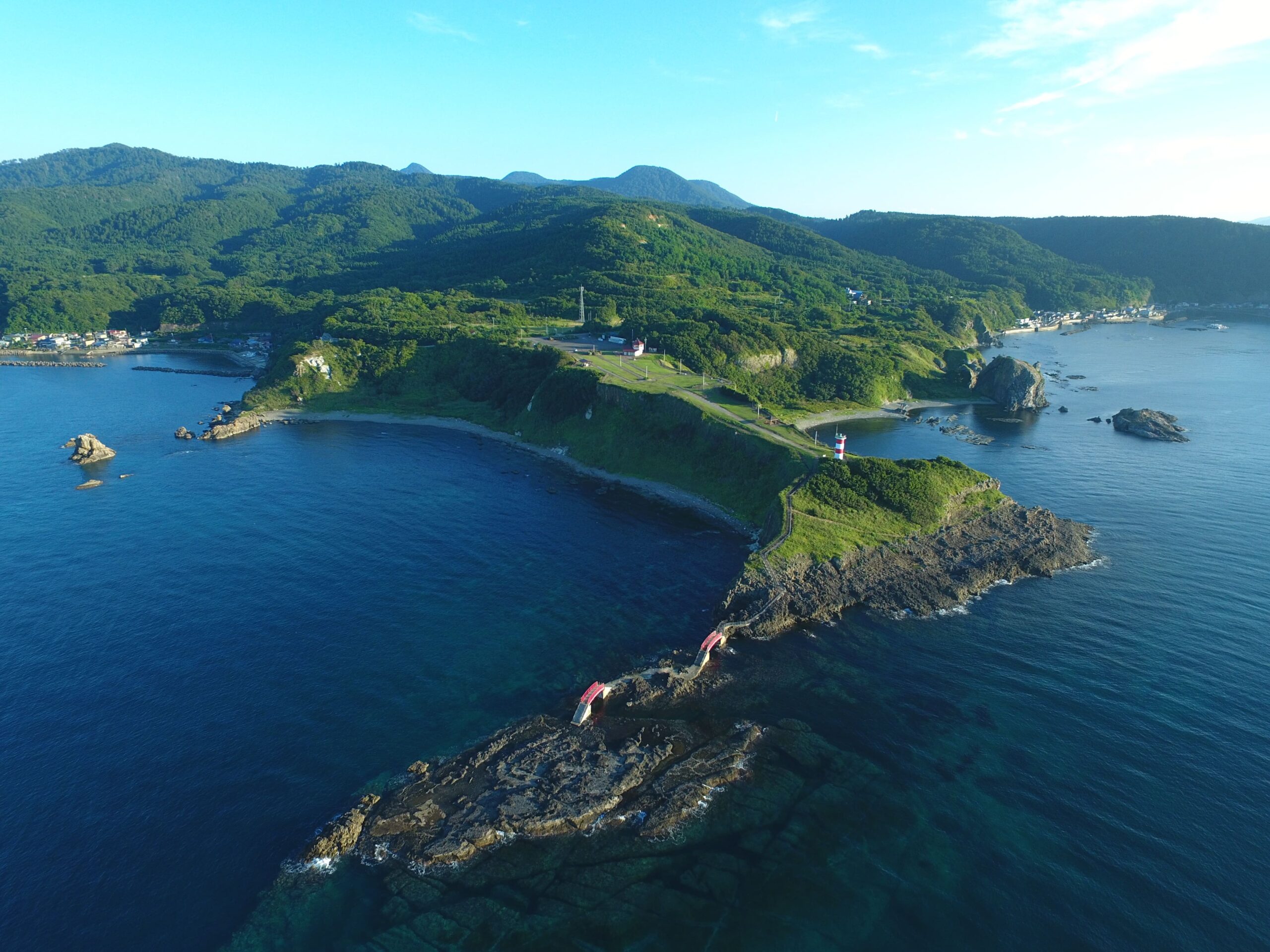 高野崎